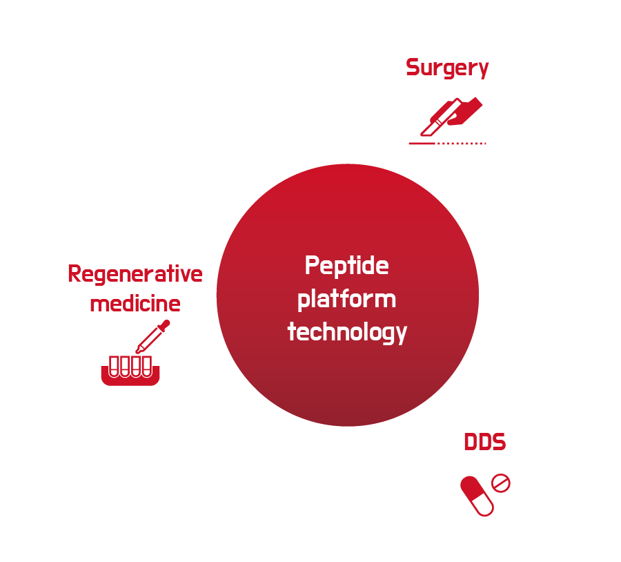 In addition to surgical treatment, which is already being commercialized, we are also conducting R&D in the huge markets of regenerative medicine and DDS.