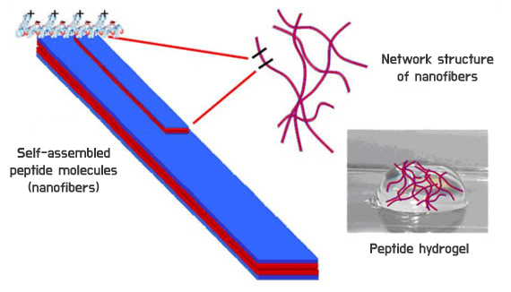 PuraMatrix™ Self-Assembling