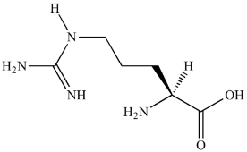 アミノ酸への分解代謝ーアルギニン